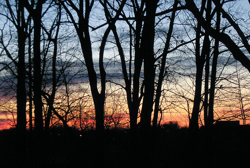 wpid-good_sunset-2012-01-18-20-05.jpg